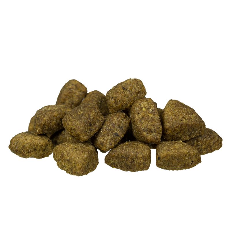 BOSCH Adult Lamb & Rice 15kg