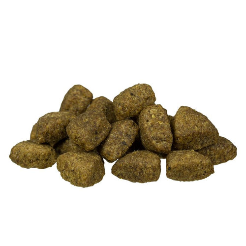 BOSCH Adult Lamb & Rice 15kg