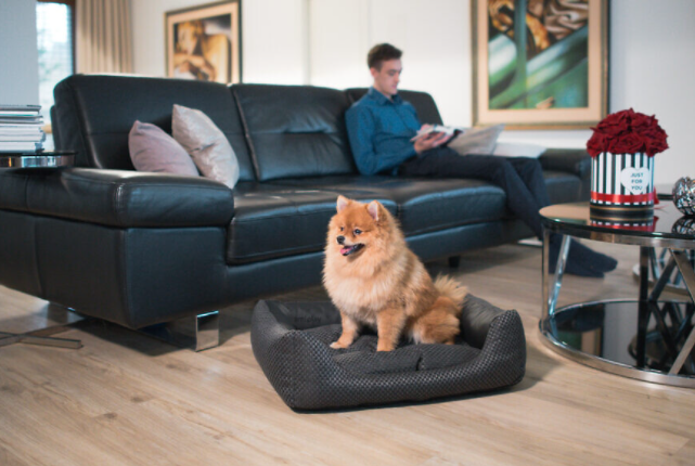 AMIPLAY Sofa ZipClean 4 in 1 Morgan Biała S