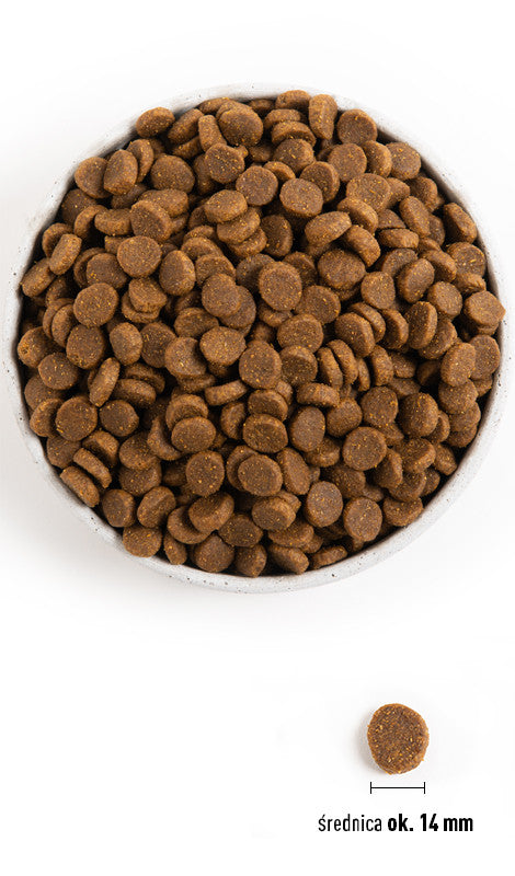 Acana Heirtage Senior Dog 2kg