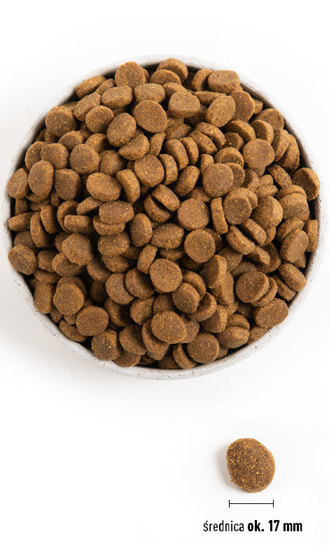 Acana Heritage Adult Large Breed 17kg