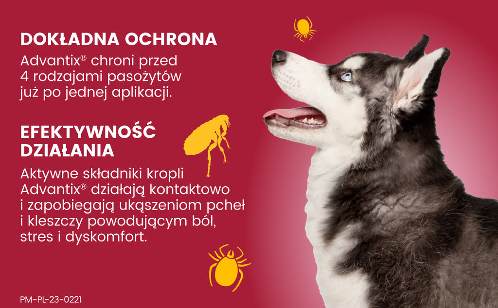 Bayer Advantix Krople Na Kleszcze I Pchły 2,5ml