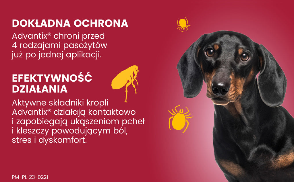 Bayer Advantix Krople Na Kleszcze I Pchły 4x1ml