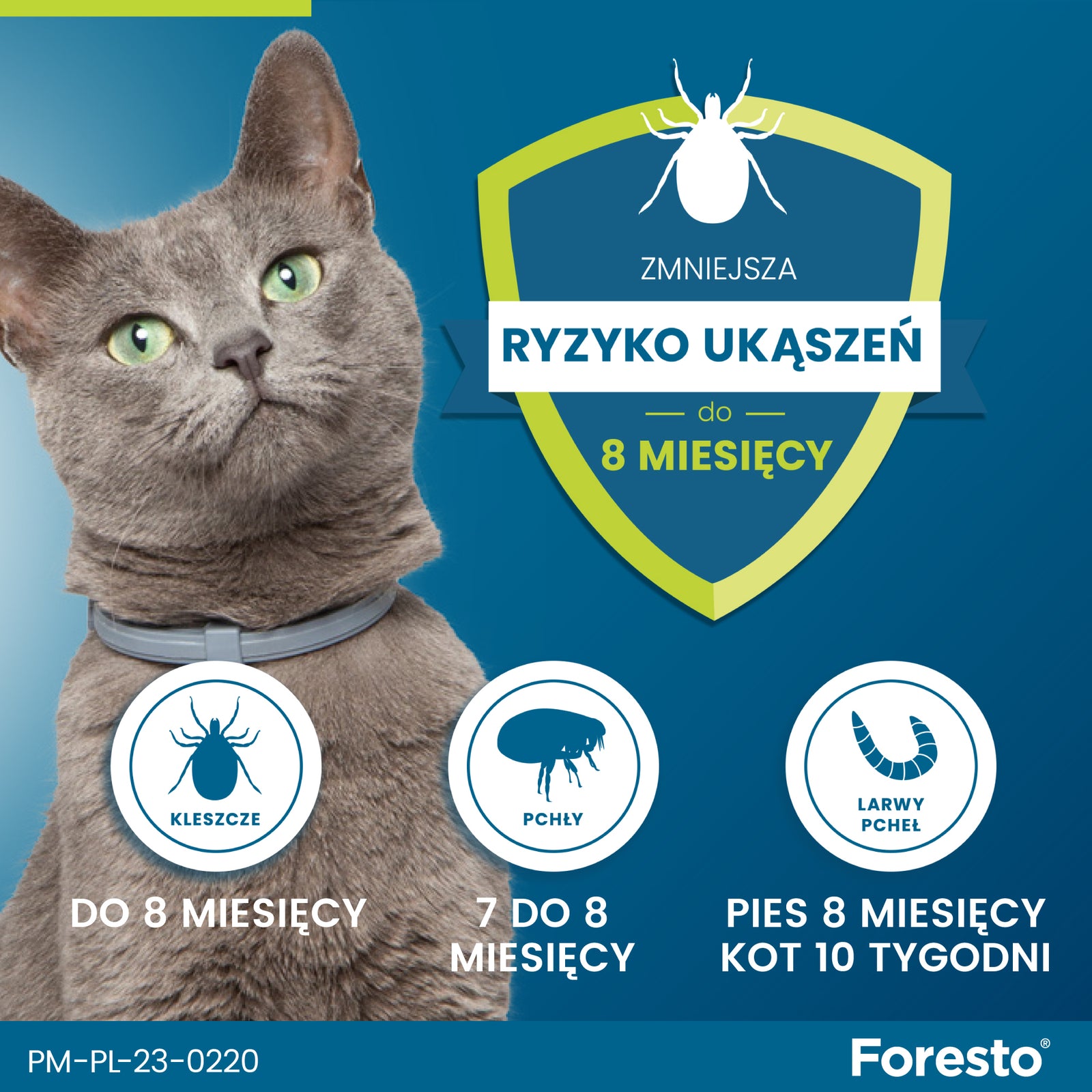 Obroża dla małych psów Bayer Foresto 38cm