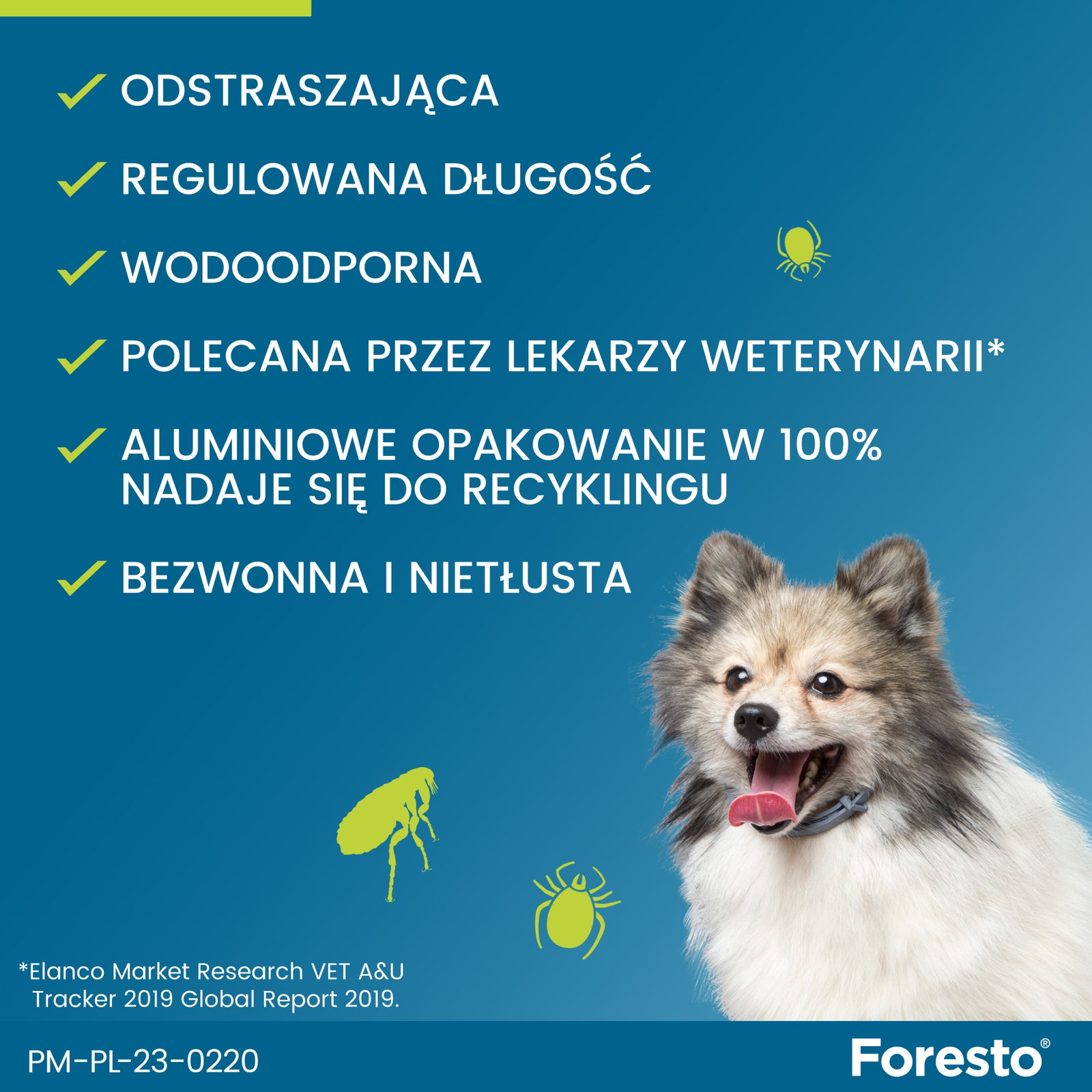 Obroża dla małych psów Bayer Foresto 38cm
