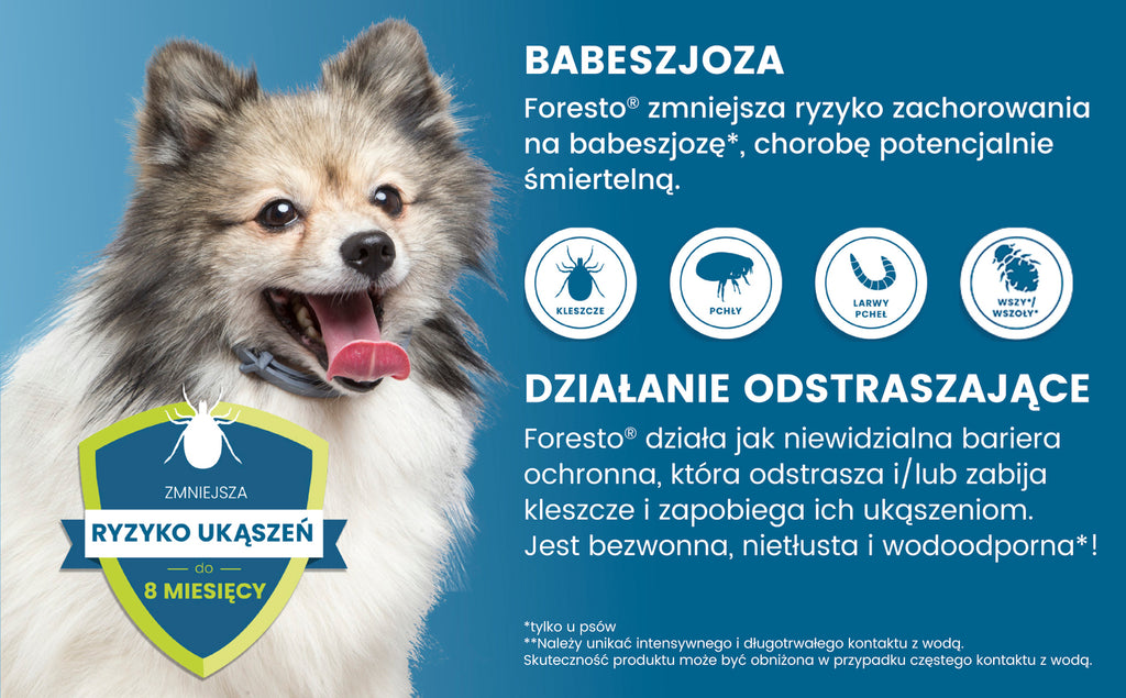 Obroża dla małych psów Bayer Foresto 38cm