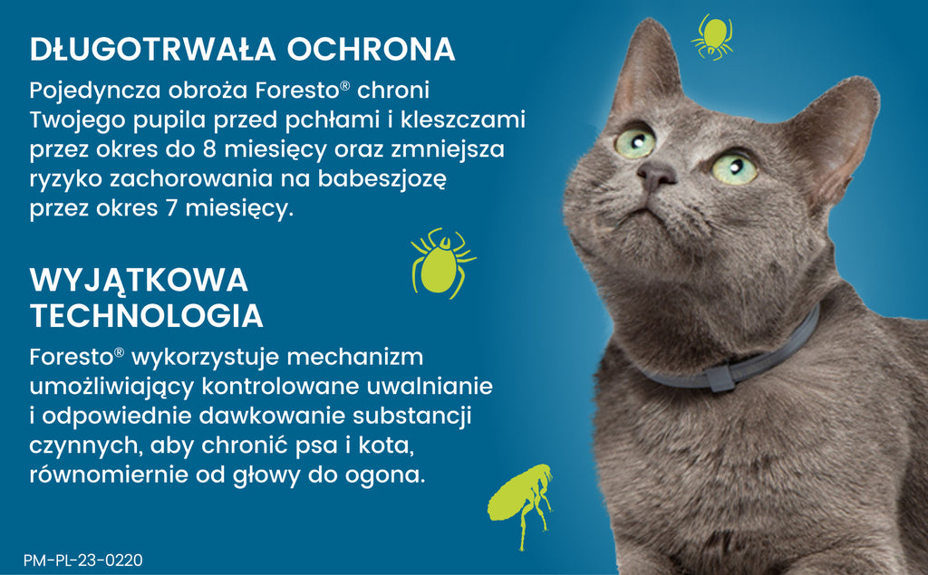 Obroża dla małych psów Bayer Foresto 38cm