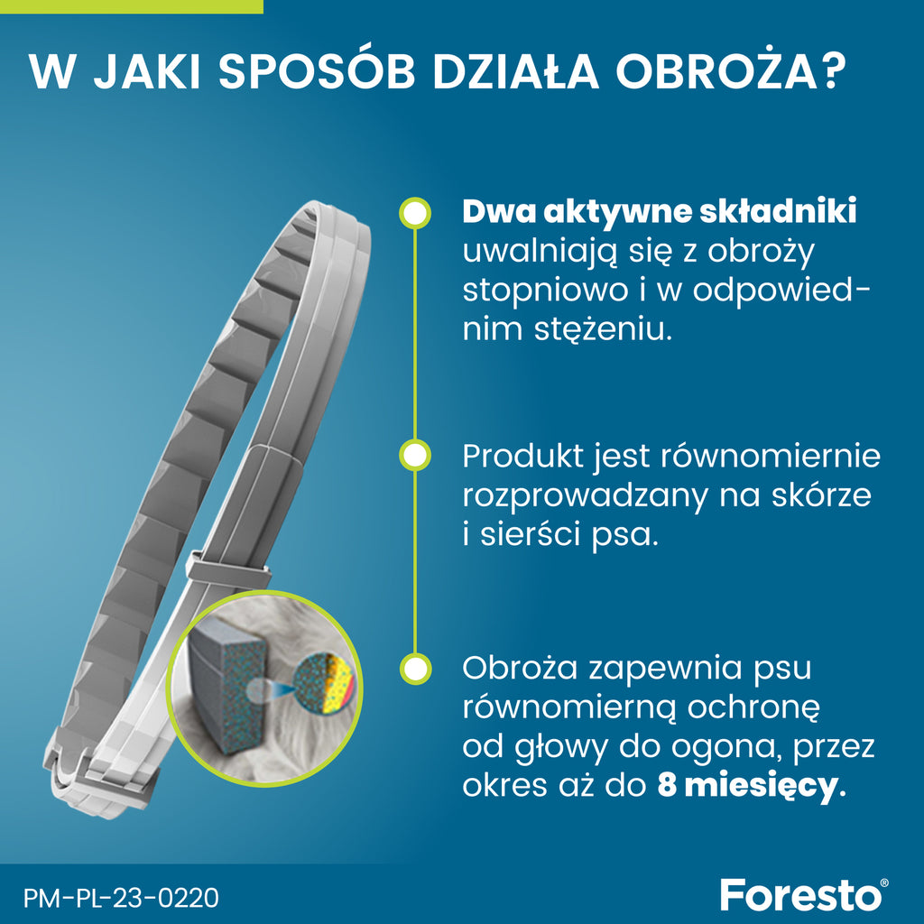 Obroża dla małych psów Bayer Foresto 38cm