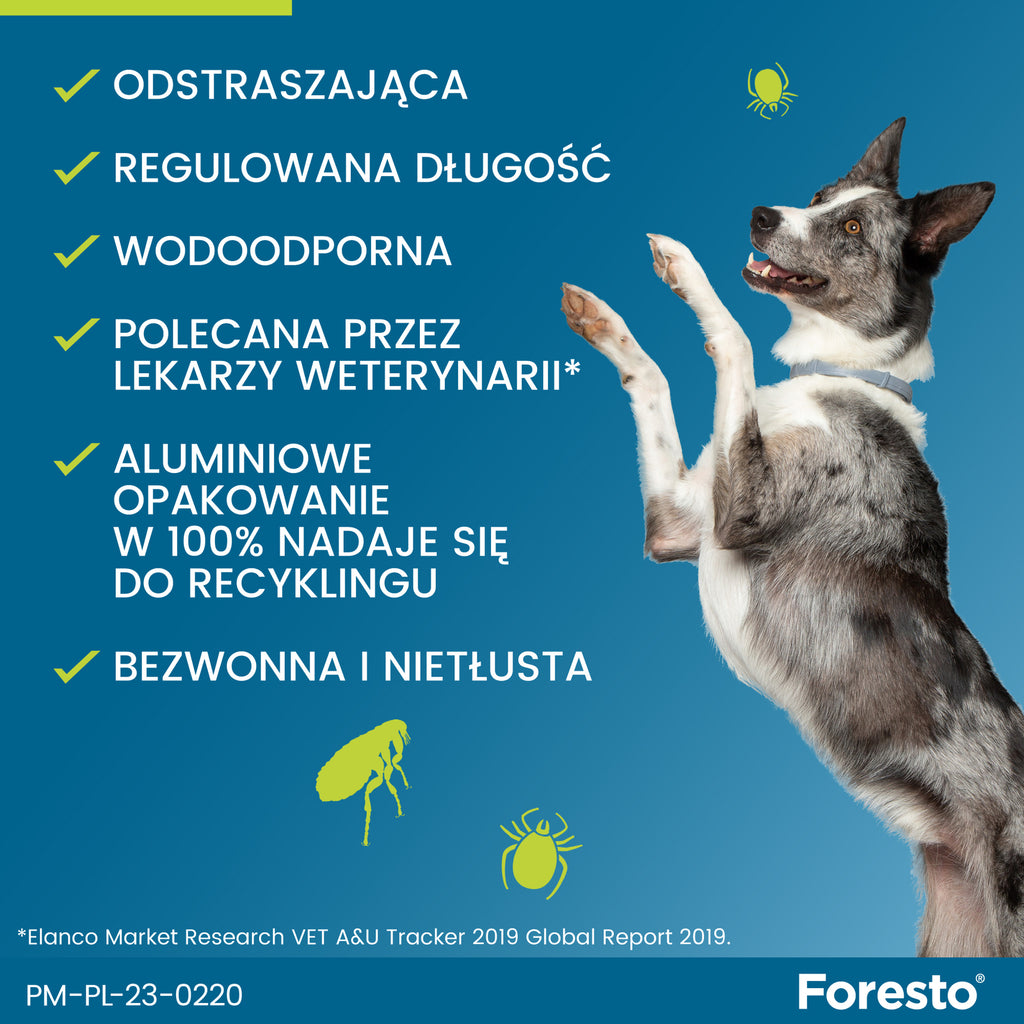 Obroża dla małych psów Bayer Foresto 38cm