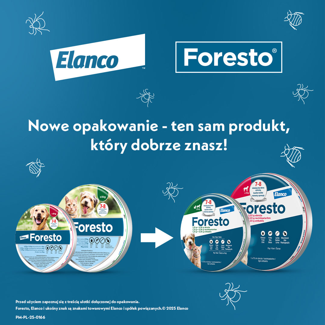 Obroża dla małych psów Bayer Foresto 38cm