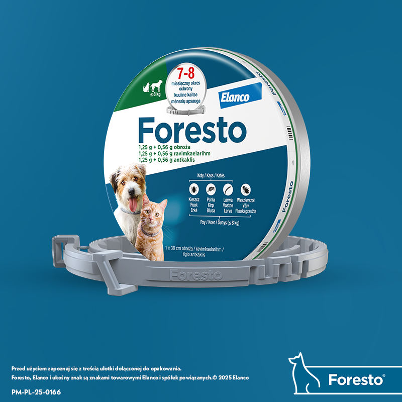 Obroża dla małych psów Bayer Foresto 38cm