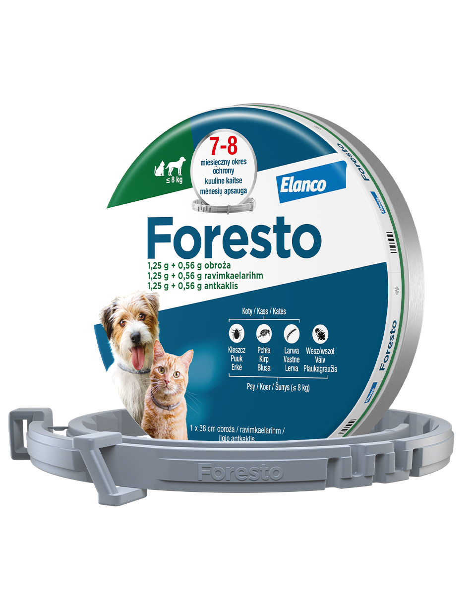 Obroża dla małych psów Bayer Foresto 38cm