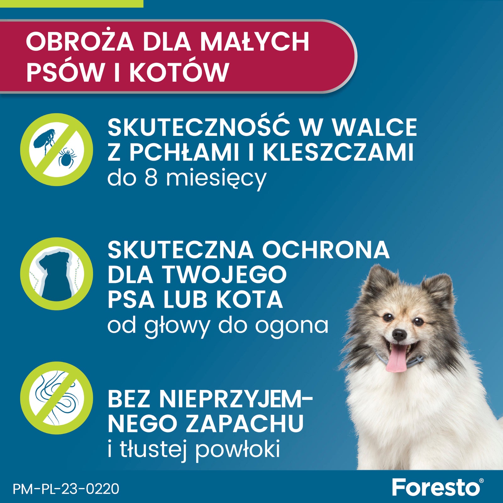 Obroża dla małych psów Bayer Foresto 38cm
