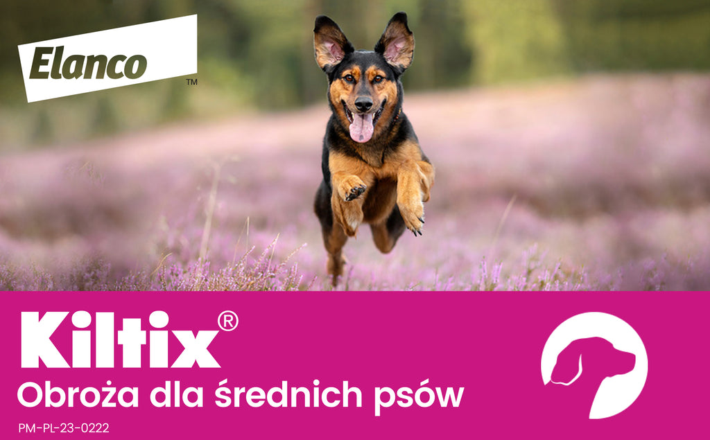 Obroża Na Kleszcze I Pchły Bayer Kiltix 53cm