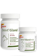Dolvit Gland 60 tab – wsparcie skóry i sierści