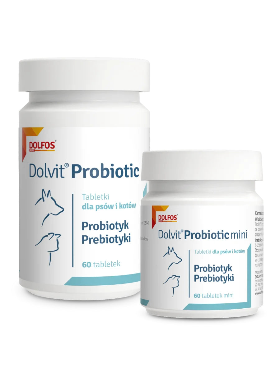 Dolfos Dolvit Probiotic 60 Tabletek