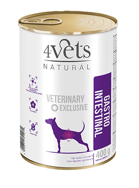 Dolina Noteci 4Vets Gastro Intestinal Dla Psów 400g