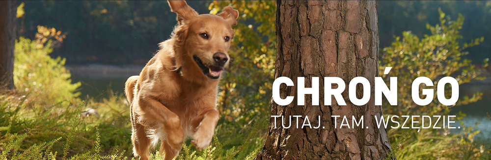FRONTLINE Tri-Act Dla Psów