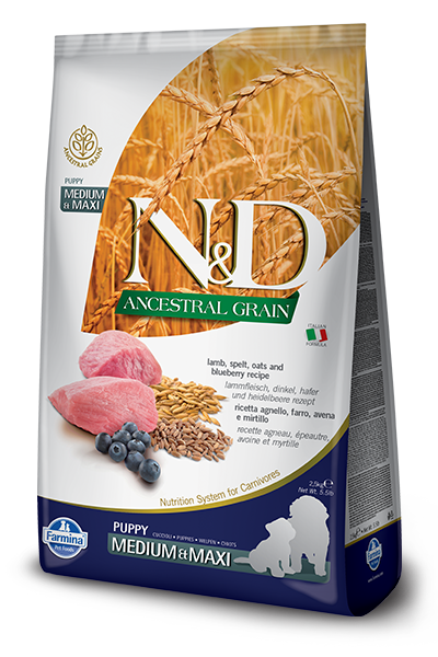 Farmina N&D Ancestral Grain Canine Puppy Medium&Maxi Lamb&Blueberry 12kg