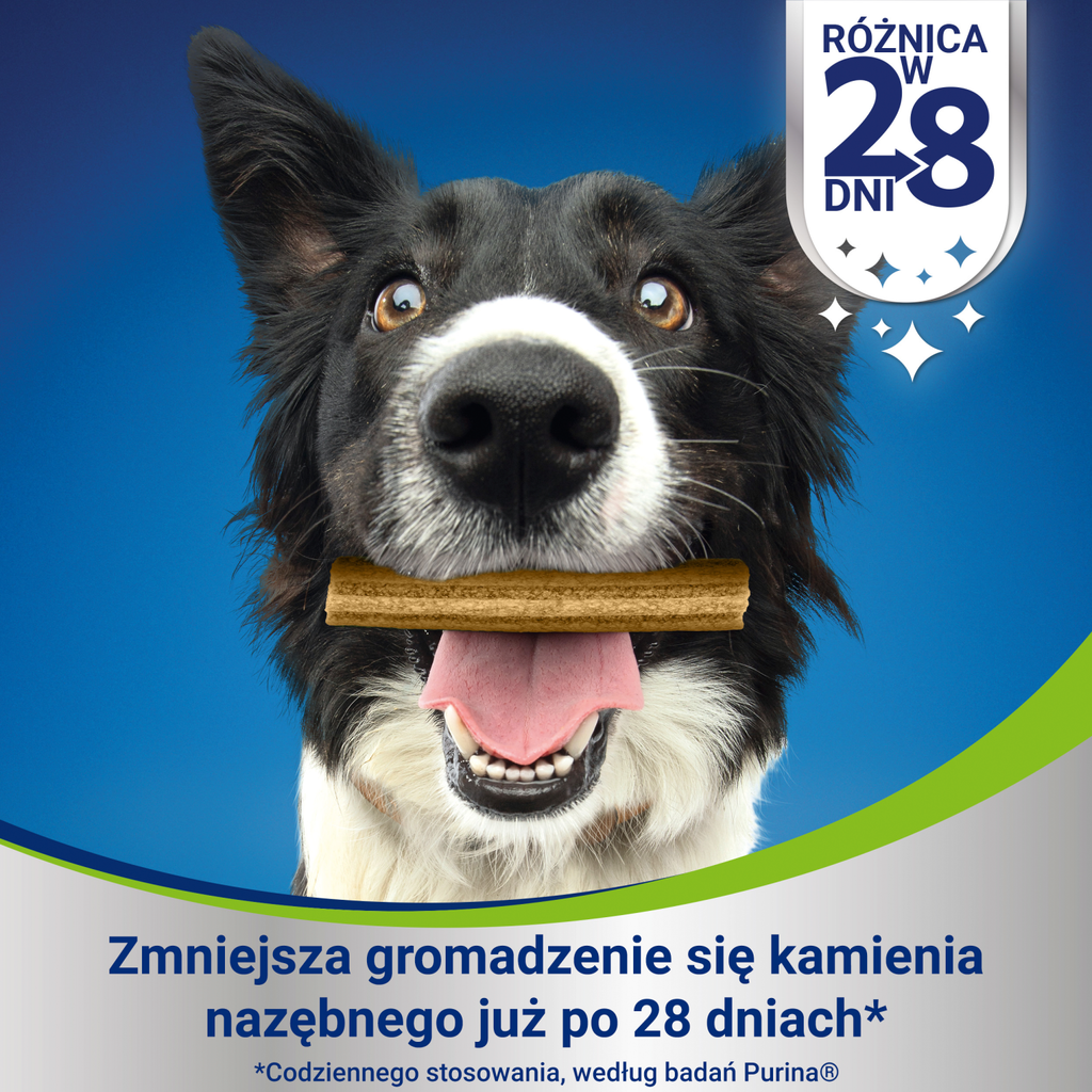 PURINA Dentalife Large 142g