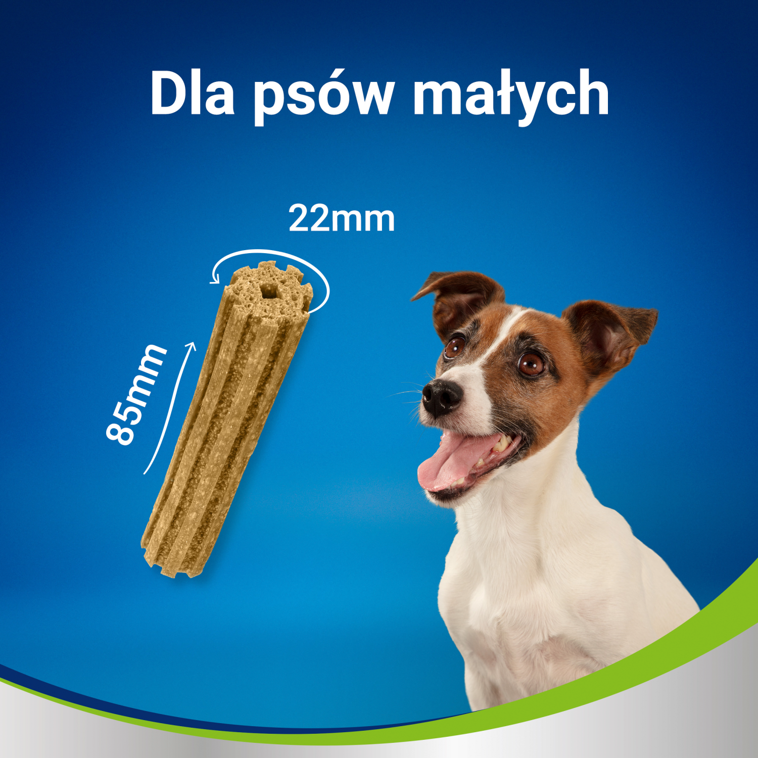 PURINA Dentalife Small 115g