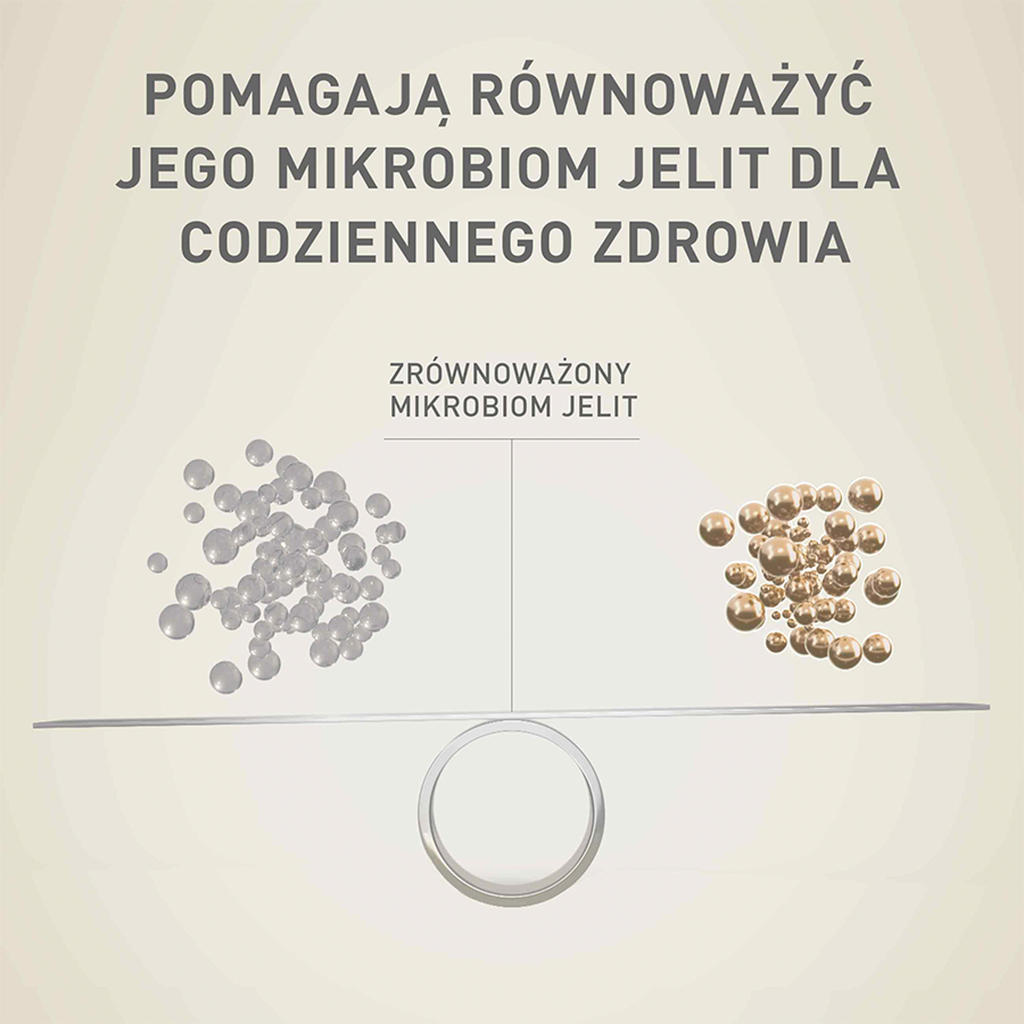 PURINA ONE Mini Active Kurczak, ryż - sucha karma dla psa - 800g