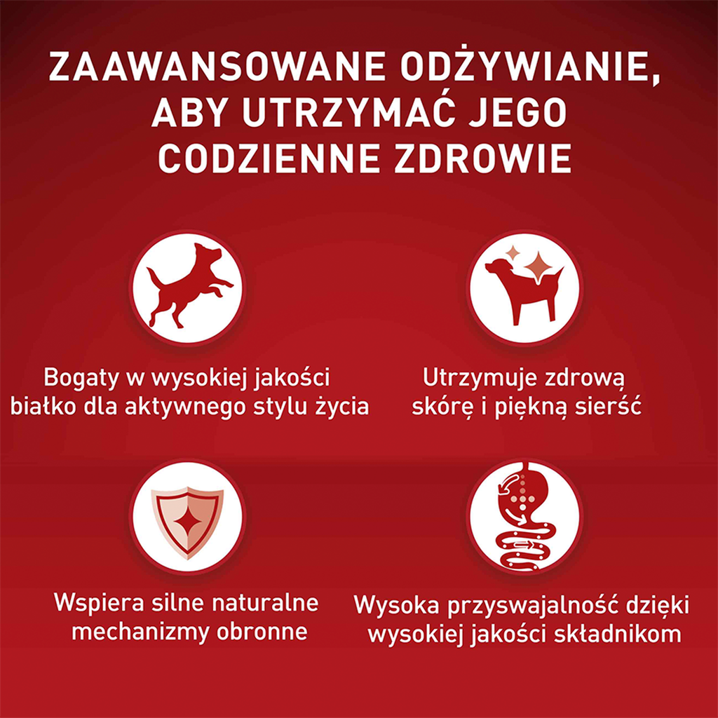 PURINA ONE Mini Delicate Łosoś, ryż - sucha karma dla psa - 800 g