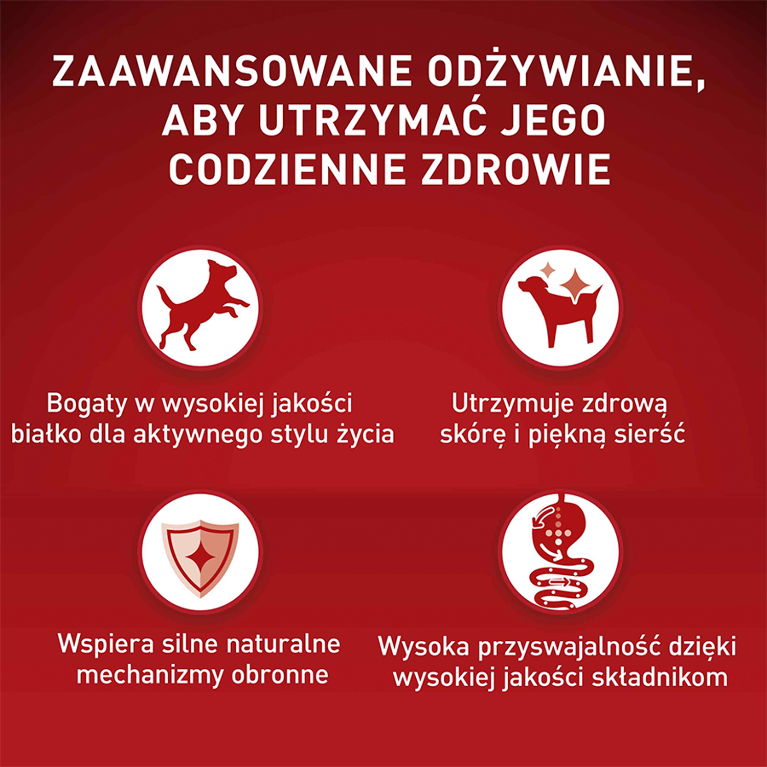 PURINA ONE Mini Delicate Łosoś, ryż - sucha karma dla psa - 800 g
