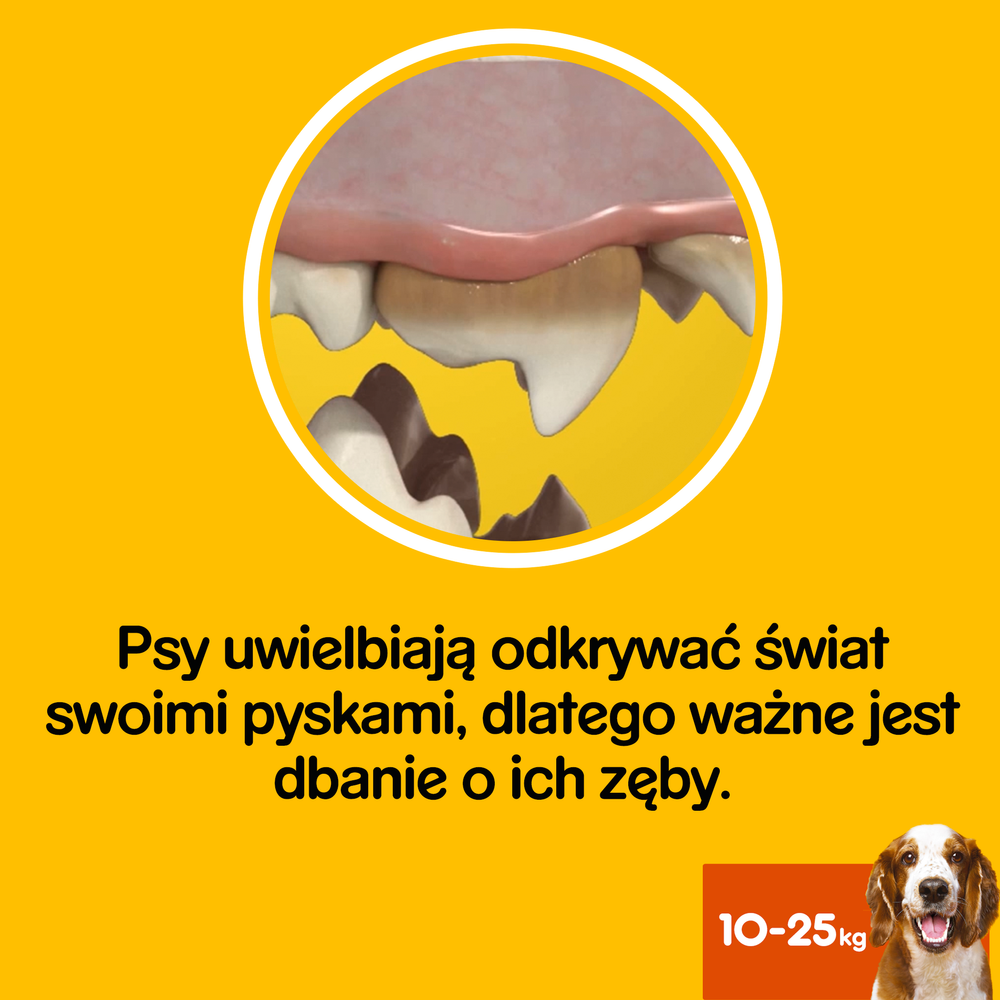Pedigree DentaStix Przysmak Dentystyczny Dla Psów Od 4 Miesiąca I Wadze 10-25kg 180g