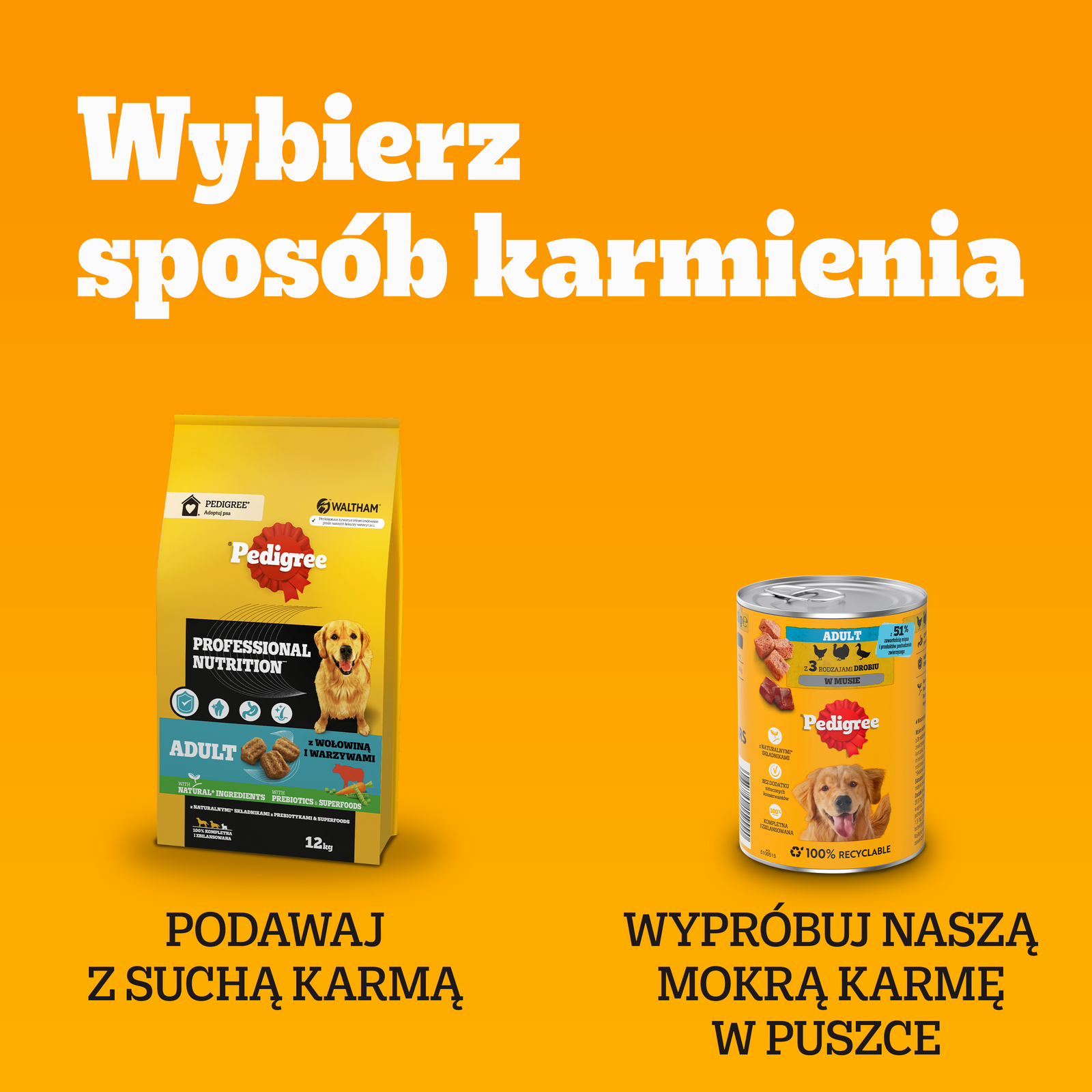 Pedigree Mokra Karma Dla Dorosłych Psów Saszetka Mix Smaków (Z Kurczakiem I Warzywami, Z Wołowiną I Warzywami, Z Indykiem I Marchewką, Z Wołowiną I Jagnięciną) 40x100g