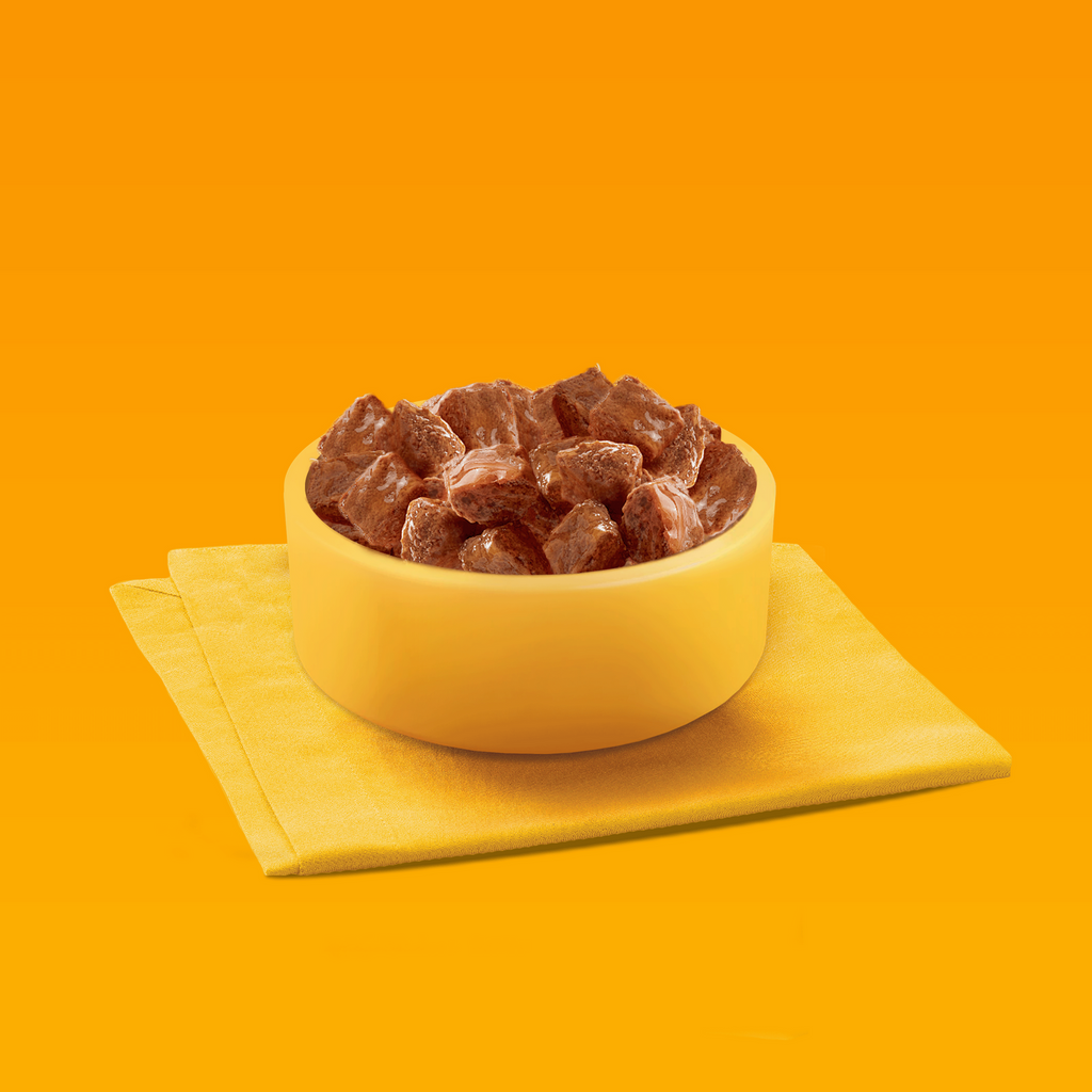 Pedigree Mokra Karma Dla Dorosłych Psów Saszetka Mix Smaków (Z Kurczakiem I Warzywami, Z Wołowiną I Warzywami, Z Indykiem I Marchewką, Z Wołowiną I Jagnięciną) 40x100g