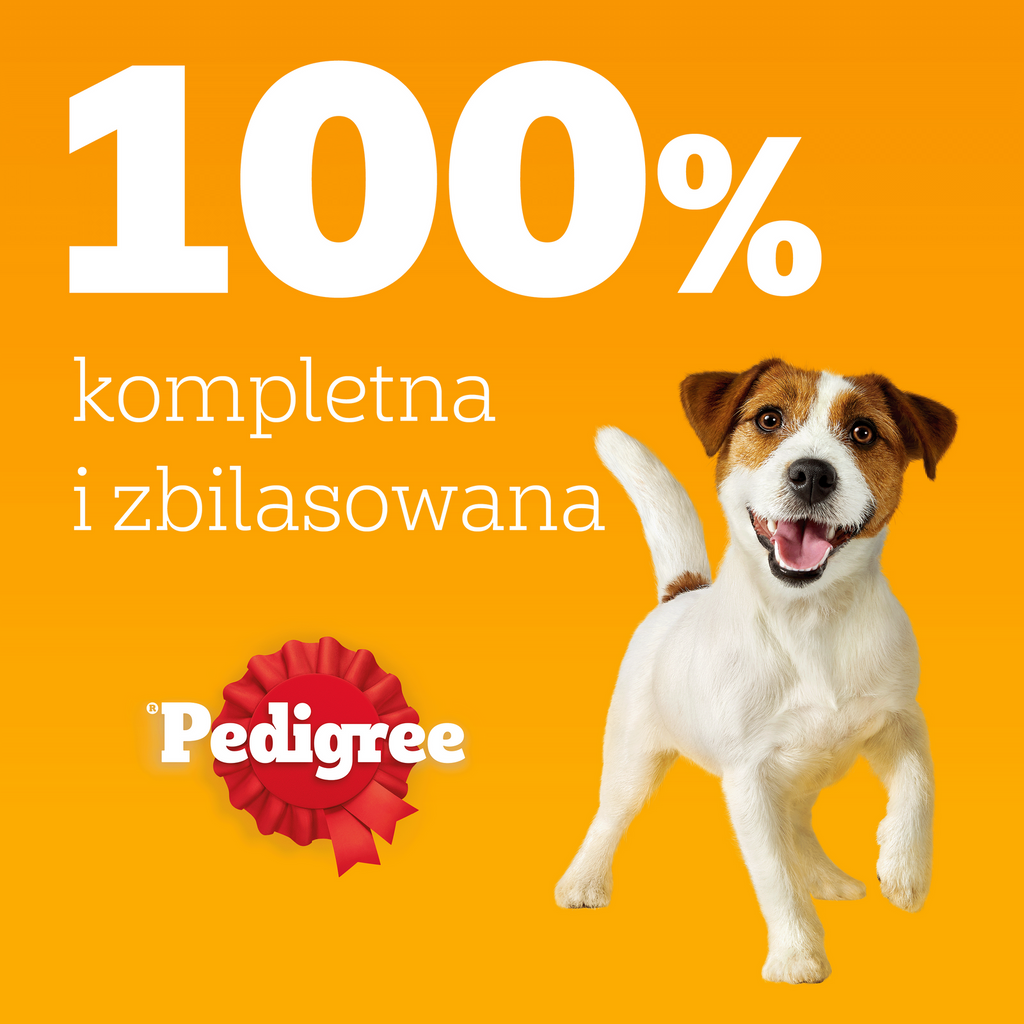 Pedigree Mokra Karma Dla Dorosłych Psów Saszetka Mix Smaków (Z Kurczakiem I Warzywami, Z Wołowiną I Warzywami, Z Indykiem I Marchewką, Z Wołowiną I Jagnięciną) 40x100g