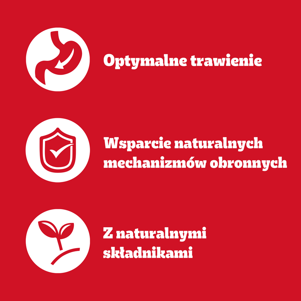 Pedigree Mokra Karma Dla Dorosłych Psów W Galaretce Mix Smaków (Z Wołowiną, Z Kurczakiem, Z Jagnięciną, Z Drobiem) 40x100g