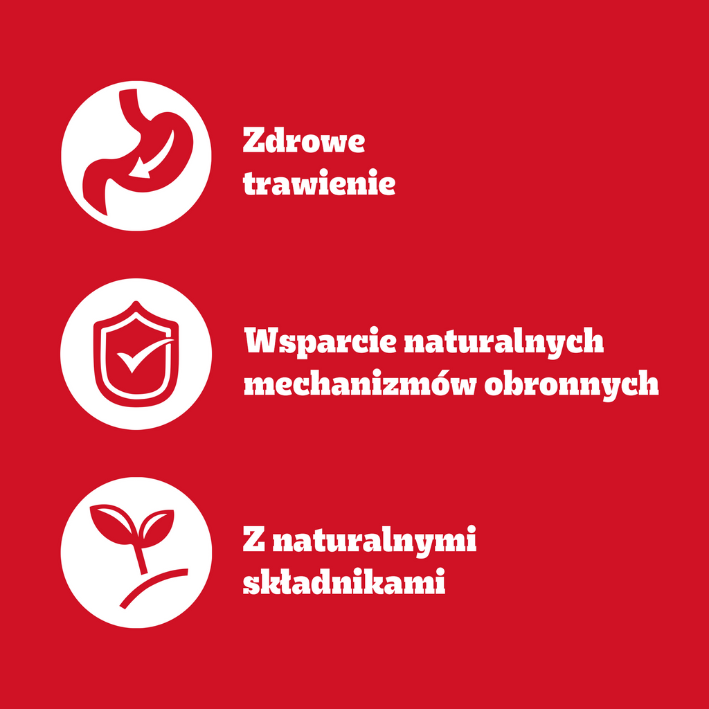 Pedigree Mokra Karma Dla Dorosłych Psów Z Kurczakiem I Warzywami W Galaretce 400g