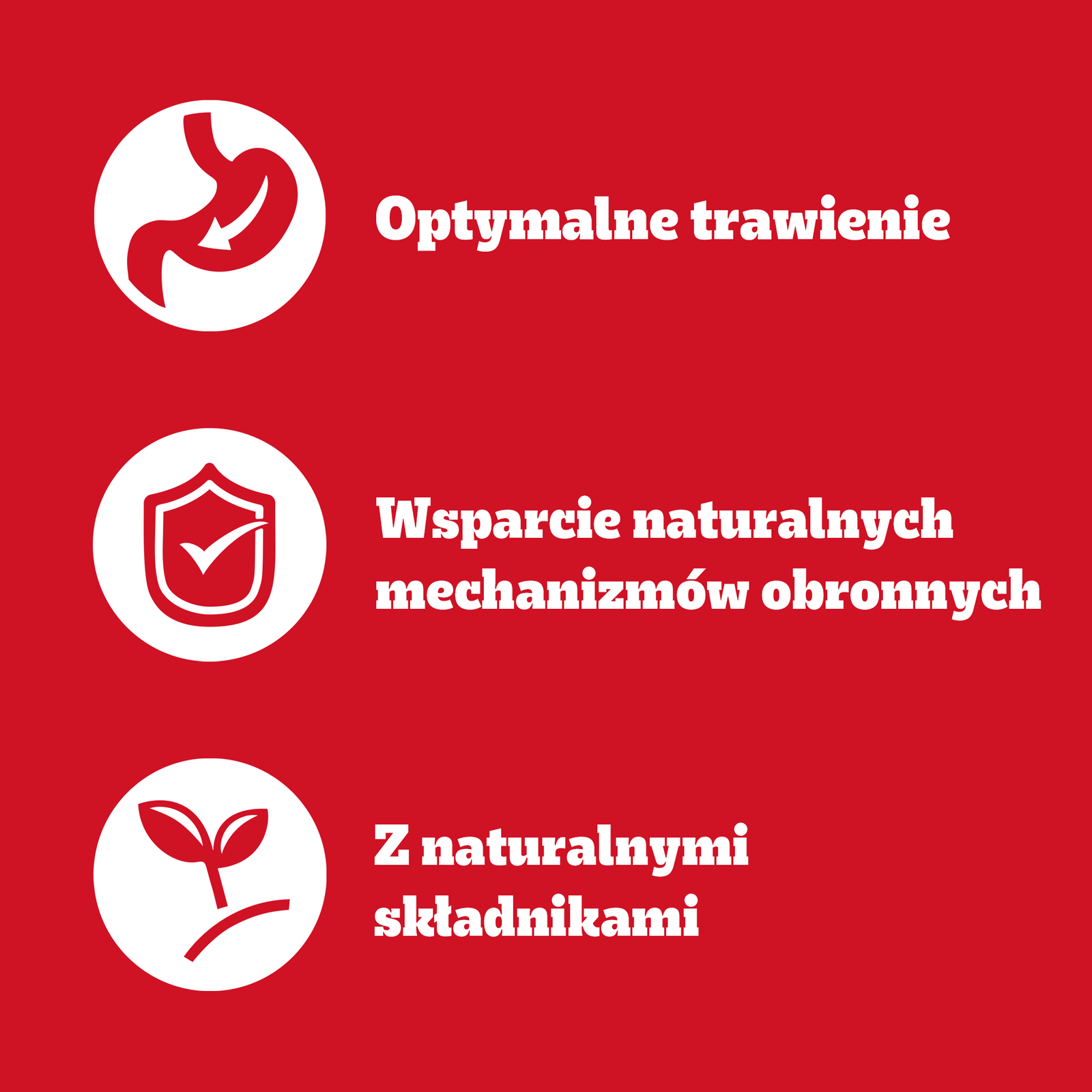 Pedigree Mokra Karma Dla Dorosłych Psów Z Kurczakiem I Warzywami W Sosie 100g