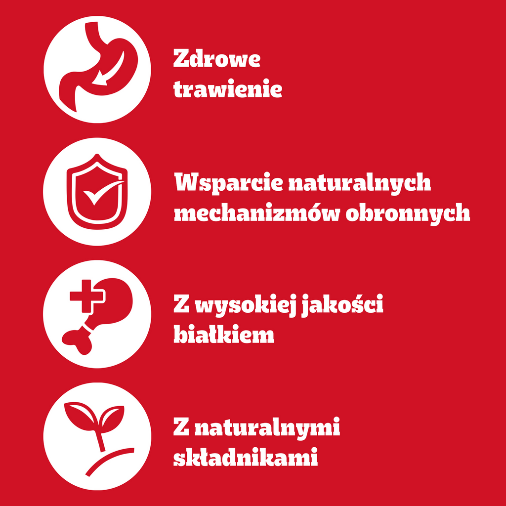 Pedigree Mokra Karma Dla Dorosłych Psów Z Wołowiną W Galarecie Puszka 400g