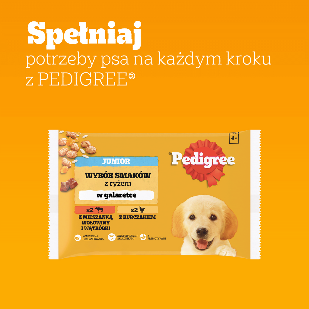 Pedigree Mokra Karma Dla Szczeniąt W Galaretce (Z Kurczakiem I Ryżem, Z Wołowiną I Ryżem) 4x100g
