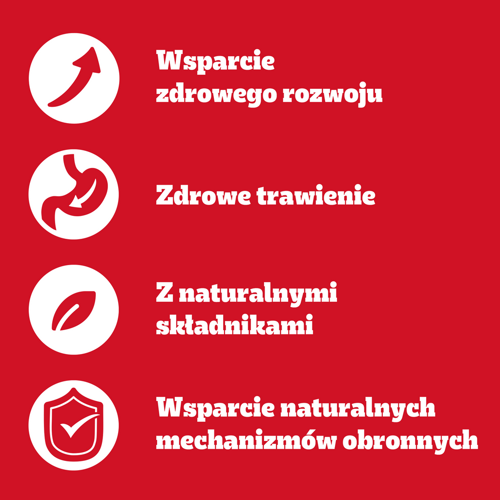Pedigree Mokra Karma Dla Szczeniąt W Galaretce (Z Kurczakiem I Ryżem, Z Wołowiną I Ryżem) 4x100g