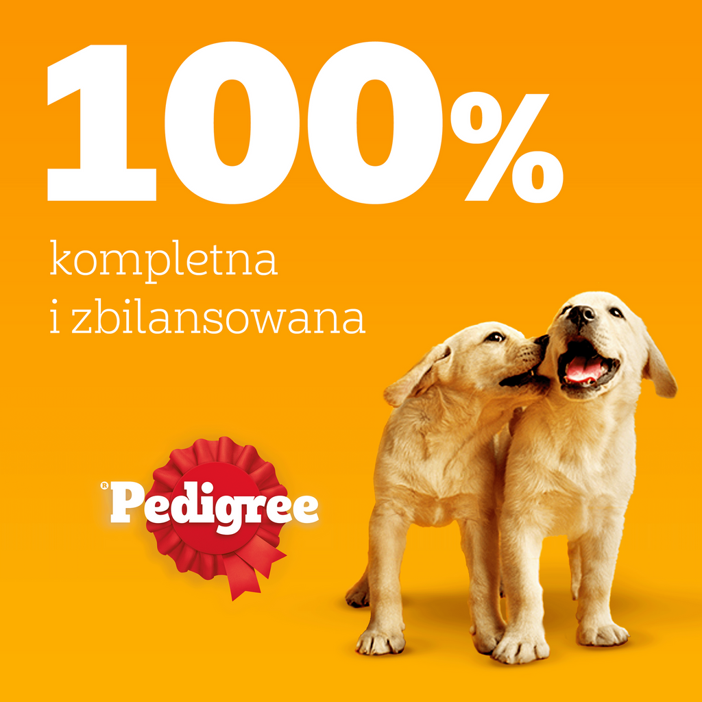 Pedigree Mokra Karma Dla Szczeniąt W Galaretce (Z Kurczakiem I Ryżem, Z Wołowiną I Ryżem) 4x100g