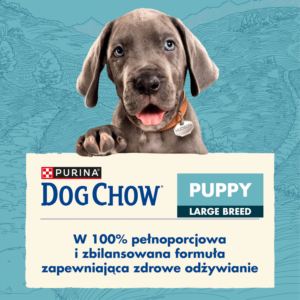 Purina Dog Chow Large Breed Puppy Z Indykiem 14kg