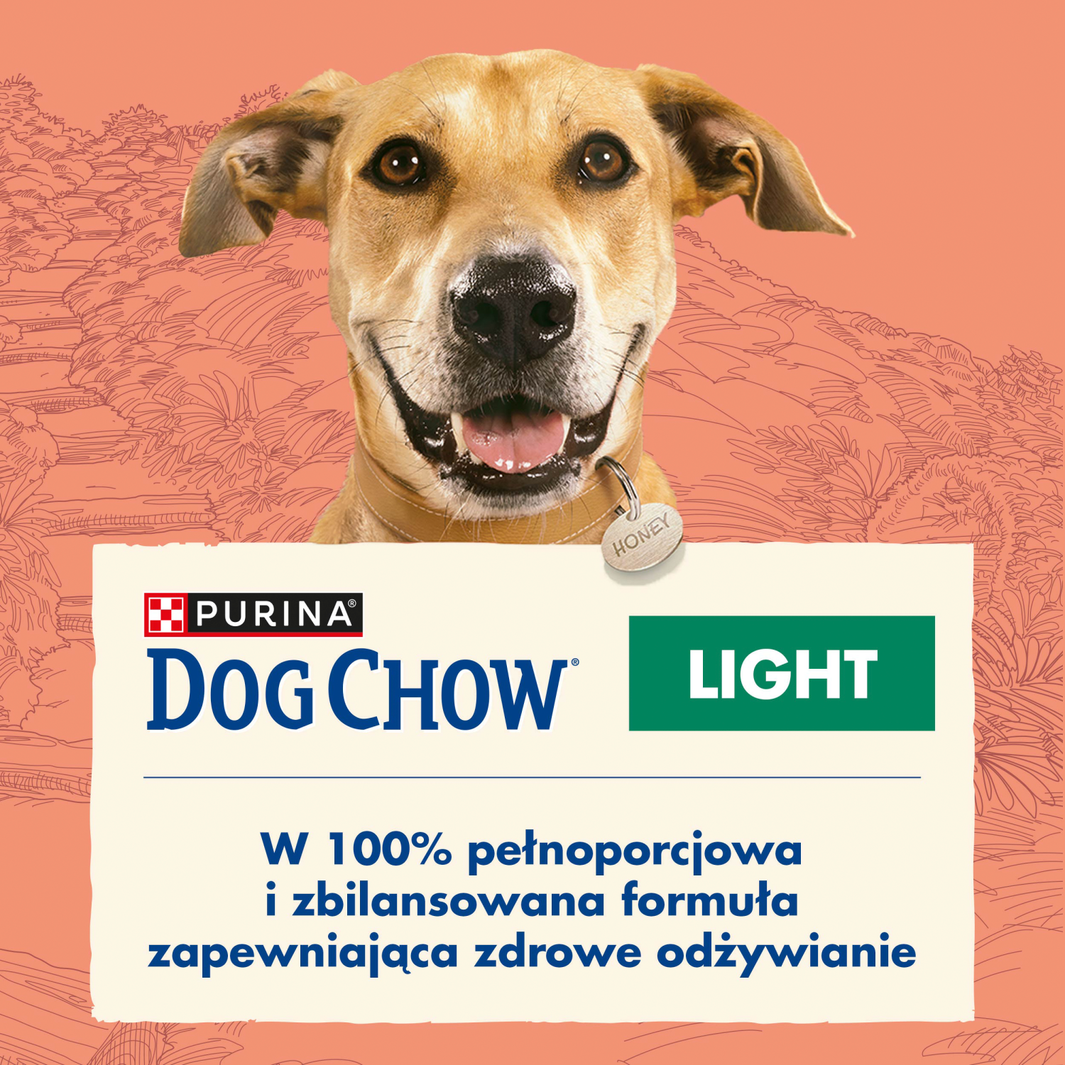 Purina Dog Chow Light Adult Z Indykiem 14kg