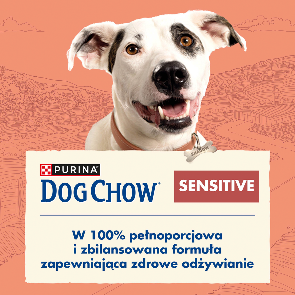Purina Dog Chow Sensitive Adult Z Łososiem 14kg
