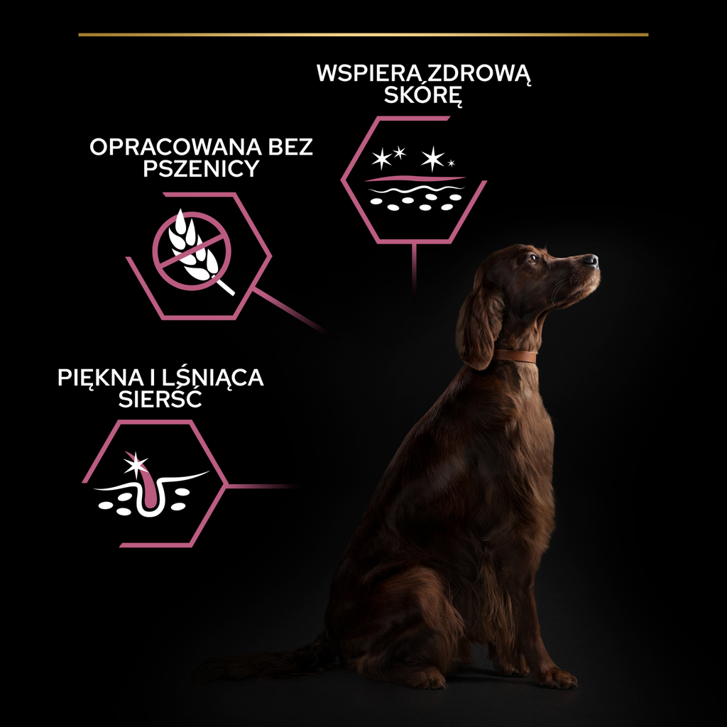 Purina Pro Plan Large Adult Athletic Optiderma Łosoś I Ryż 14kg