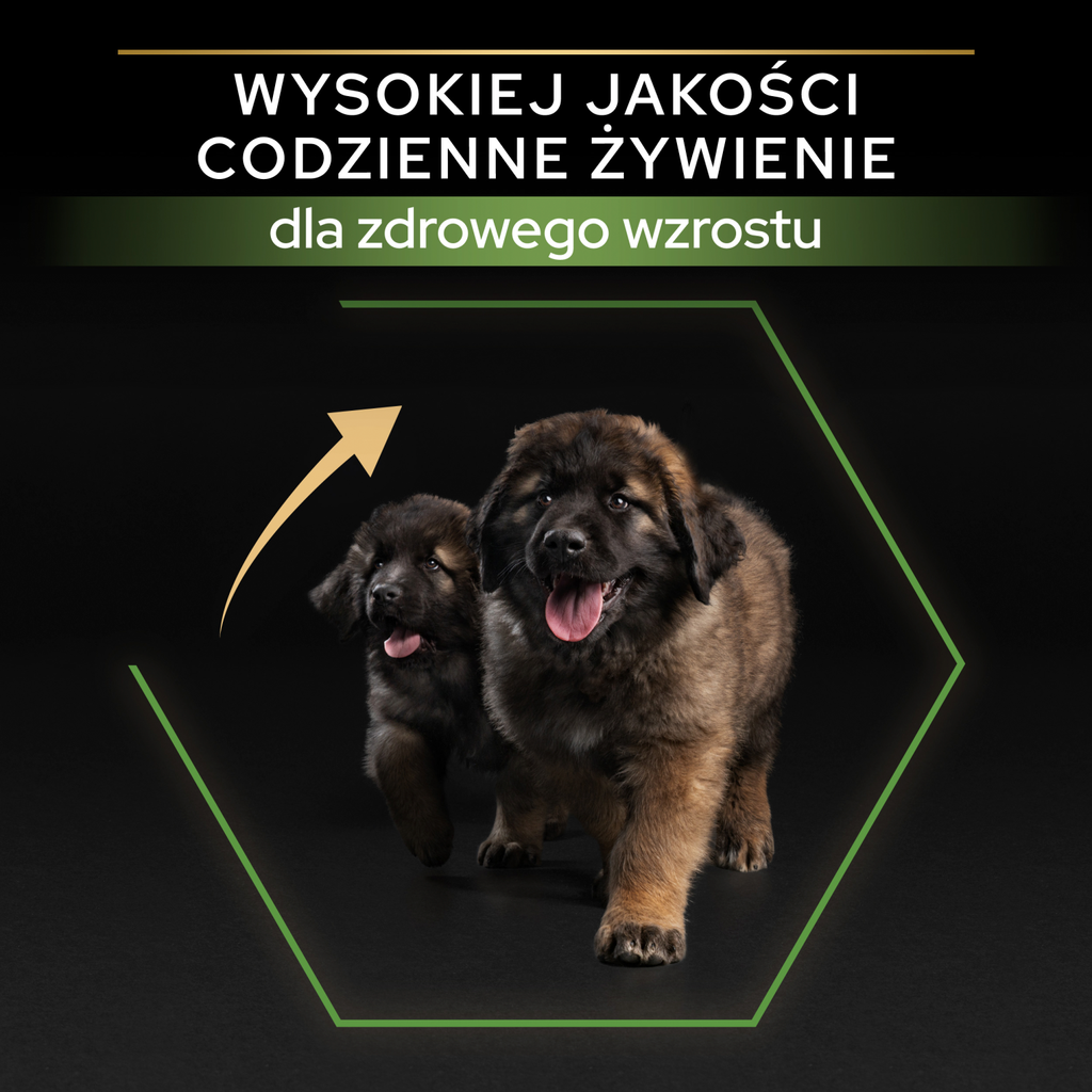 Purina Pro Plan Large Puppy Robust Optistart Kurczak I Ryż 12kg