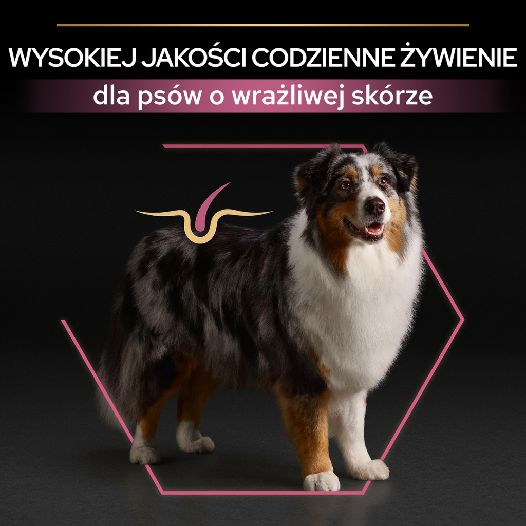 Purina Pro Plan Medium & Large 7+ Sensitive Optiderma Łosoś I Ryż 14kg