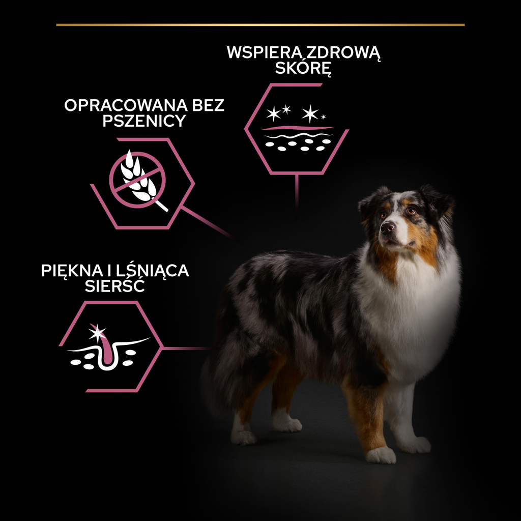 Purina Pro Plan Medium & Large 7+ Sensitive Optiderma Łosoś I Ryż 14kg