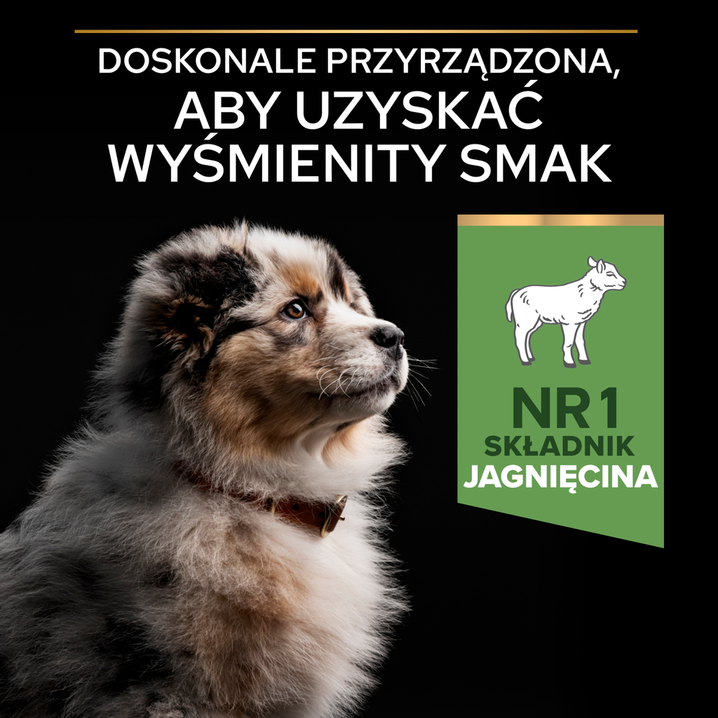 Purina Pro Plan Medium Puppy Sensitive Optidigest Jagnięcina I Ryż 12kg