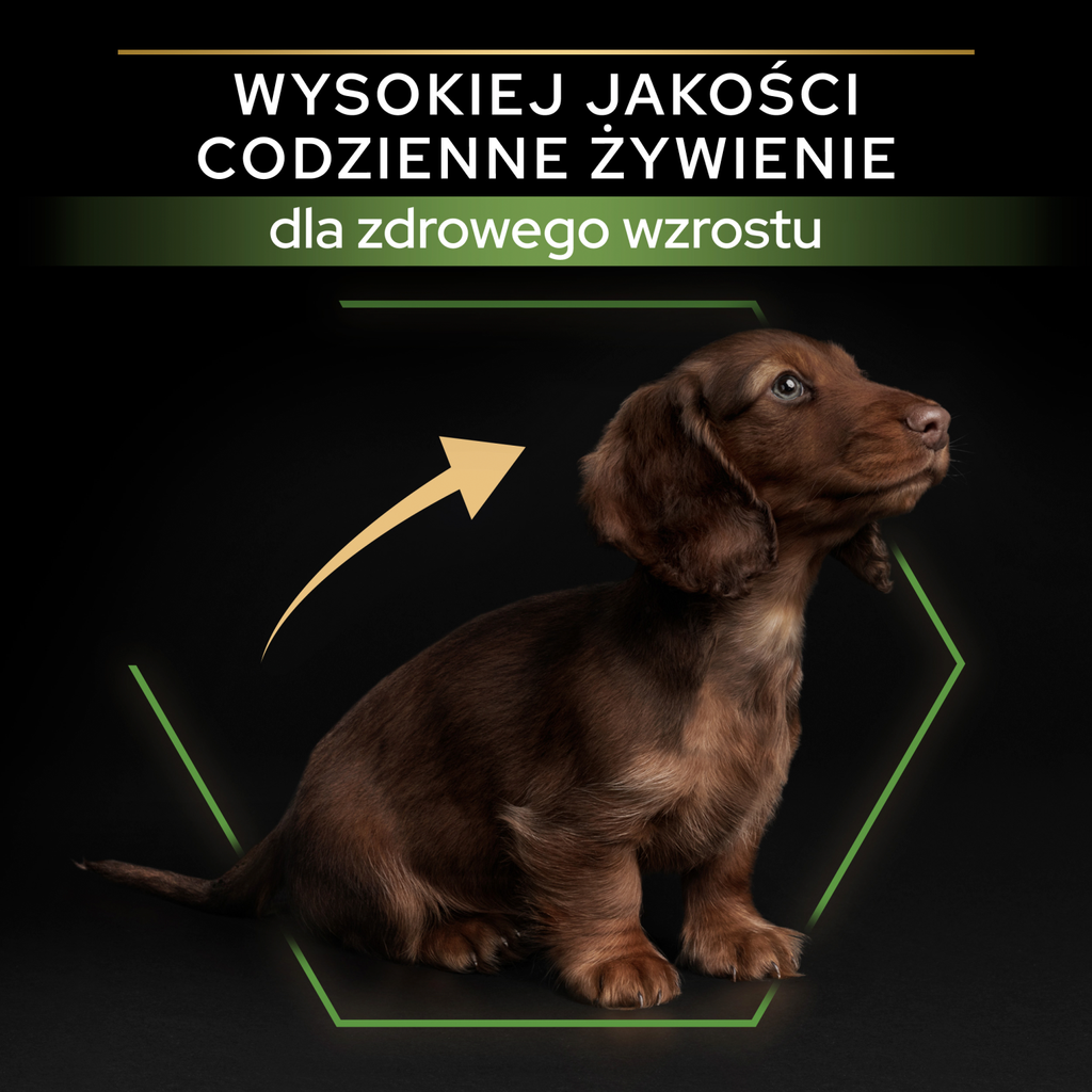 Purina Pro Plan Small & Mini Puppy Optistart Kurczak I Ryż 7kg