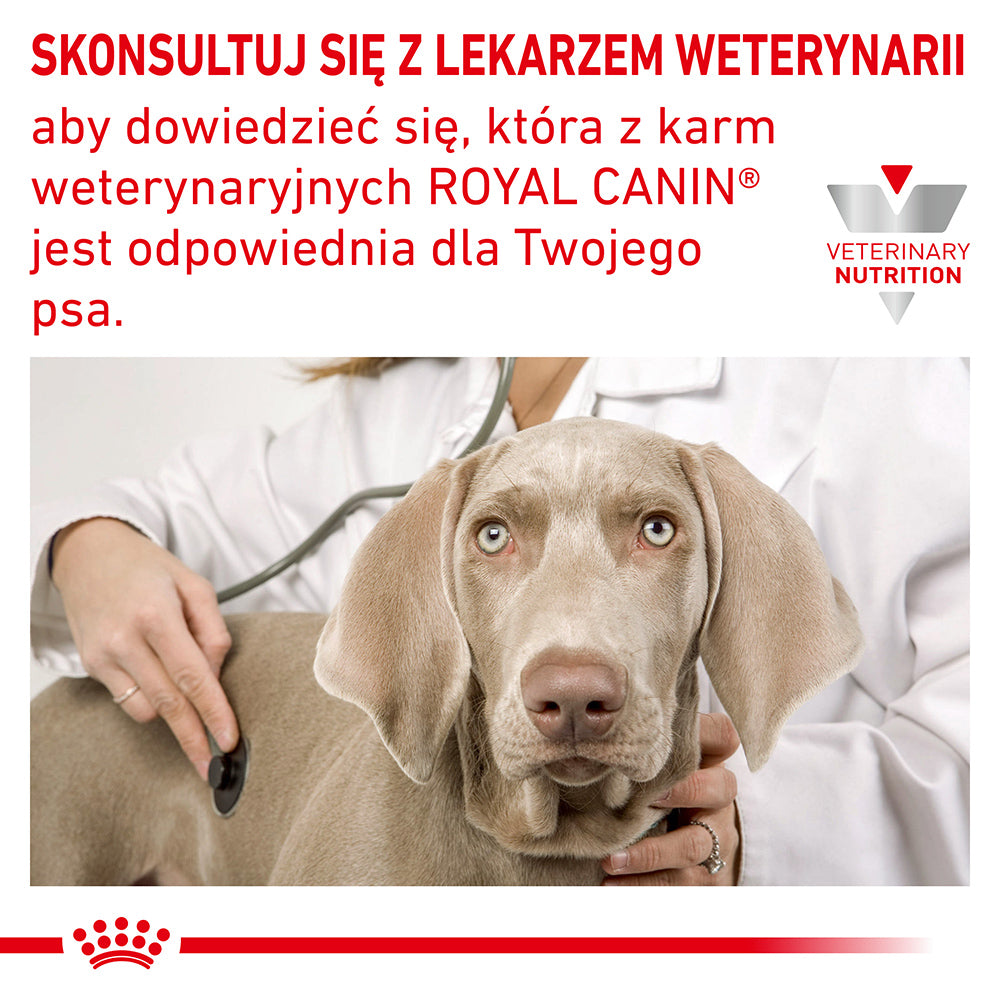 ROYAL CANIN Anallergenic 8kg