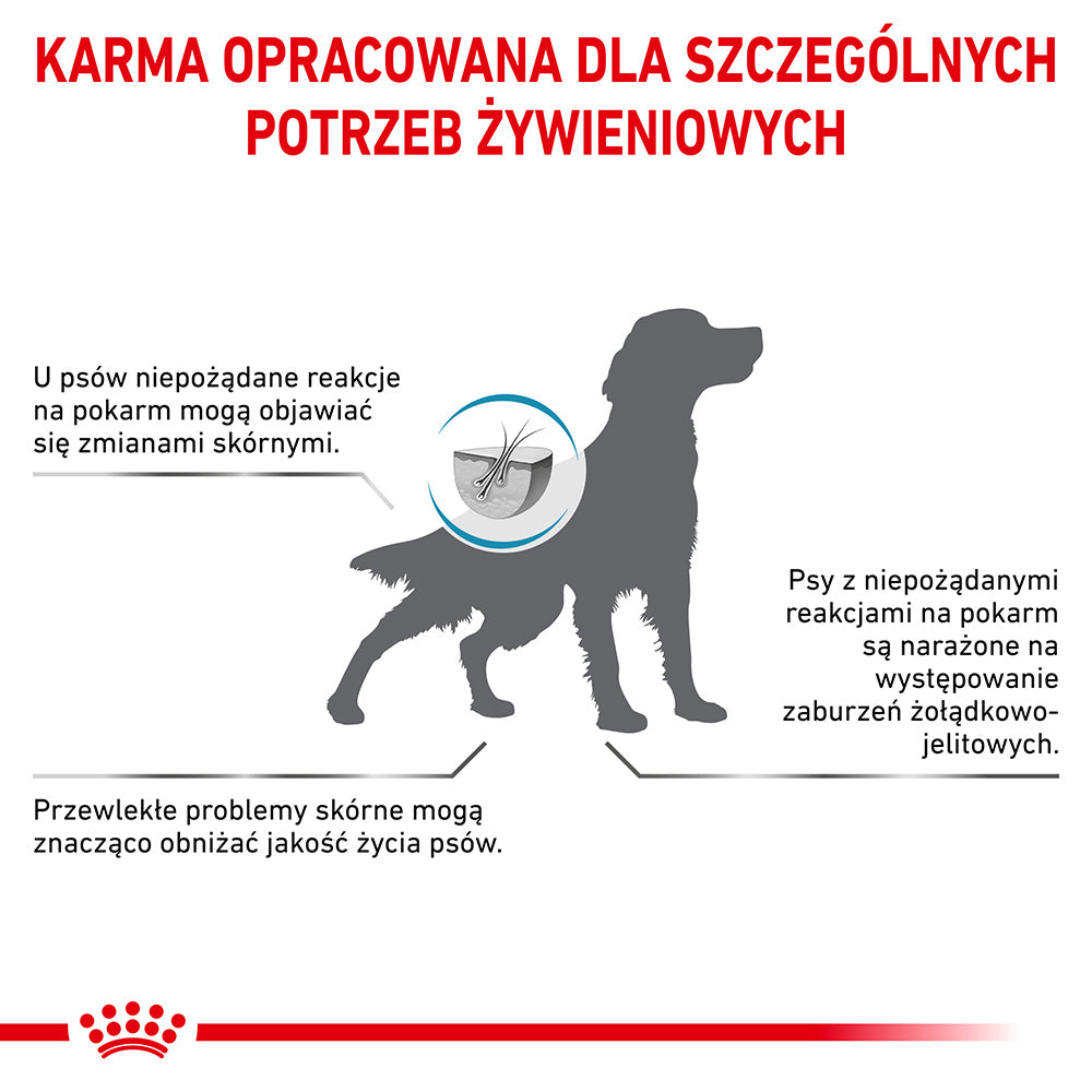 ROYAL CANIN Anallergenic 8kg